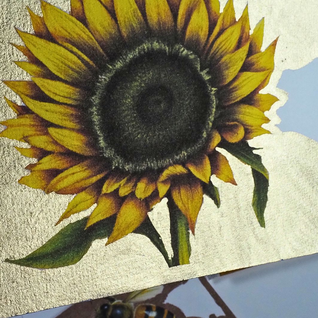 Pure Metalloid Set-Available in the Bombastico Box